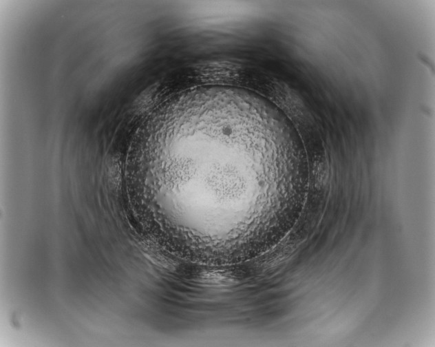 X0000098040753200803281431