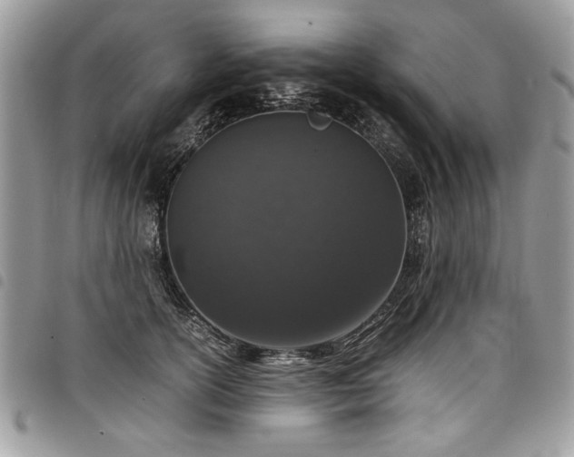 X0000098040754200803281431