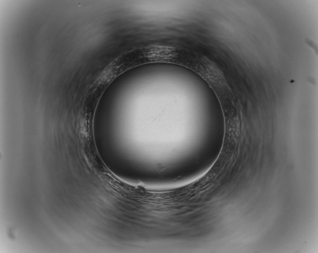 X0000098040755200803281431