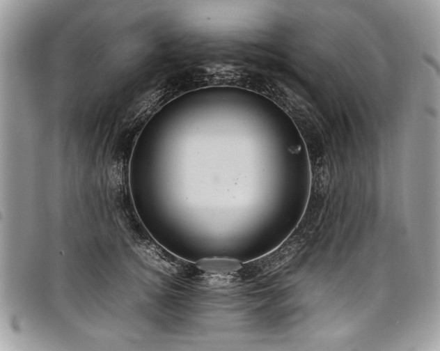 X0000098040756200803281431