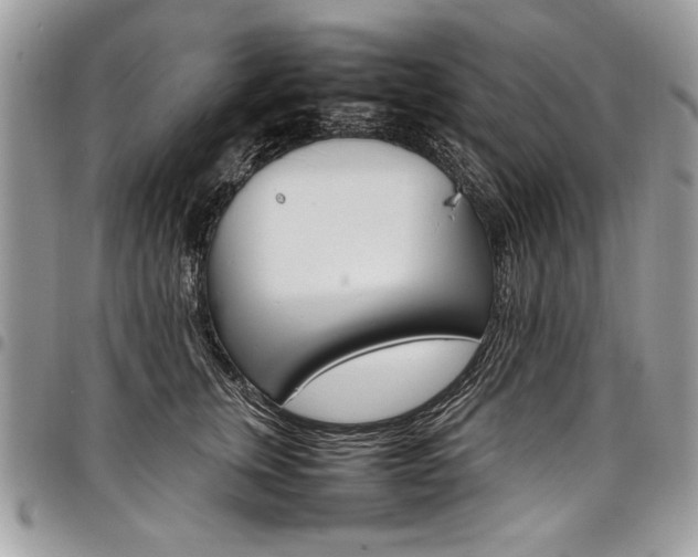 X0000098040759200803281431