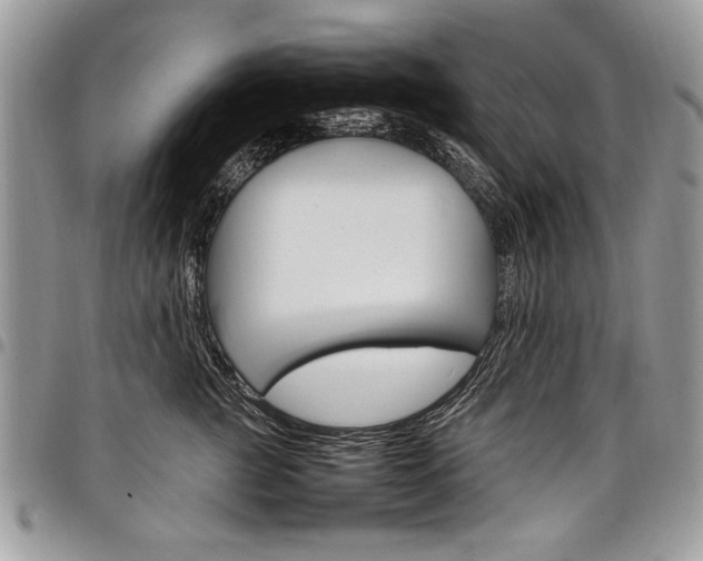X0000098040761200803281431