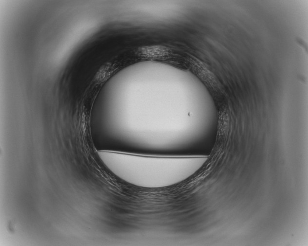 X0000098040762200803281431