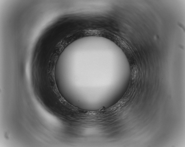 X0000098040764200803281432