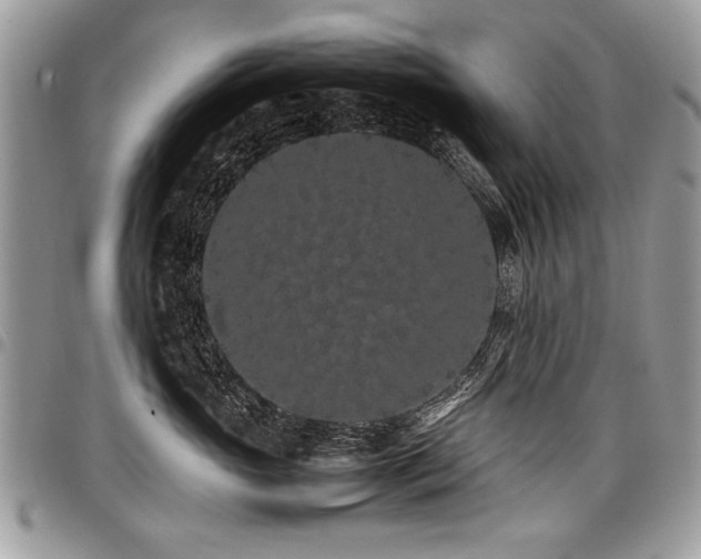 X0000098040765200803281432