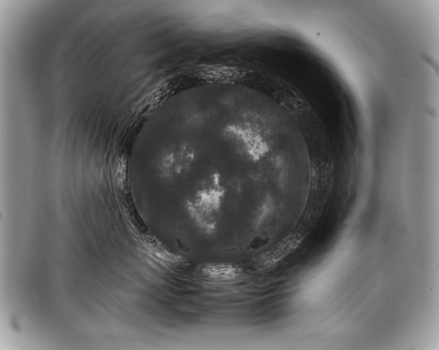X0000098040767200803281432