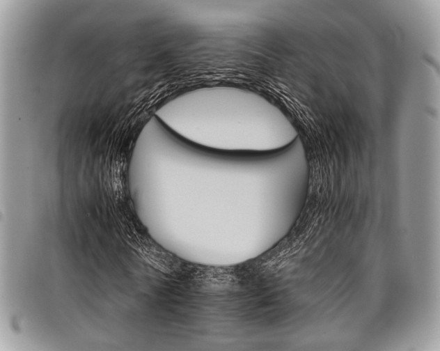 X0000098040770200803281431