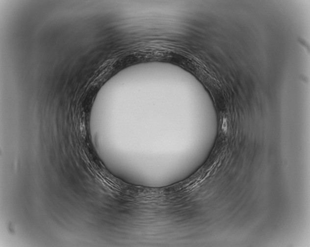 X0000098040771200803281431