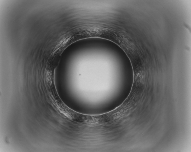 X0000098040772200803281431
