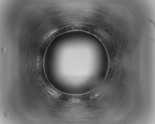 X0000098040773200803281431