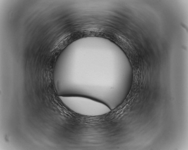 X0000098040774200803281431