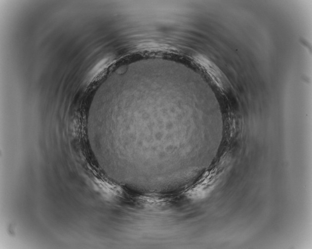 X0000098040775200803281431
