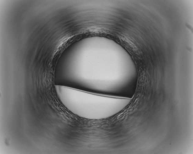X0000098040776200803281431
