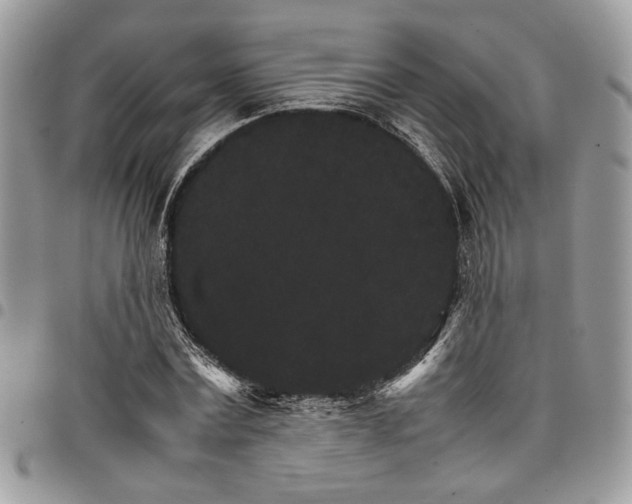 X0000098040779200803281431