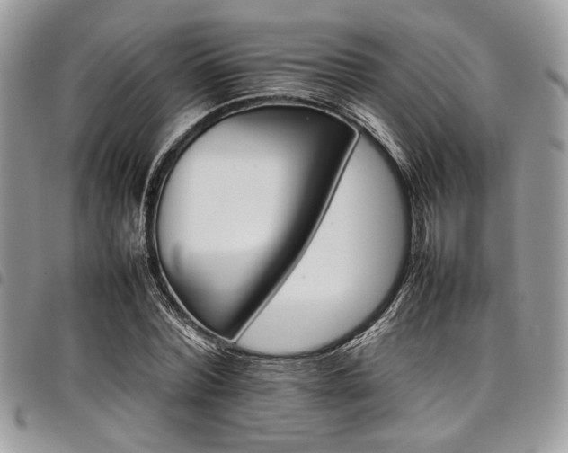 X0000098040780200803281431