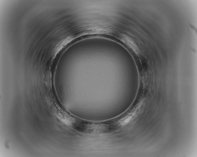 X0000098040781200803281431