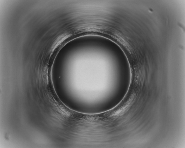 X0000098040782200803281431