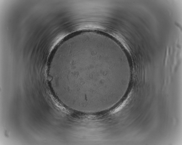 X0000098040783200803281431