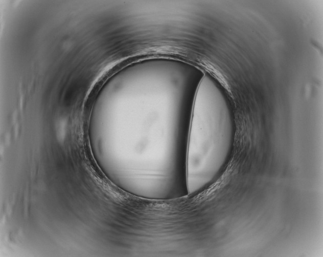 X0000098040784200803281431