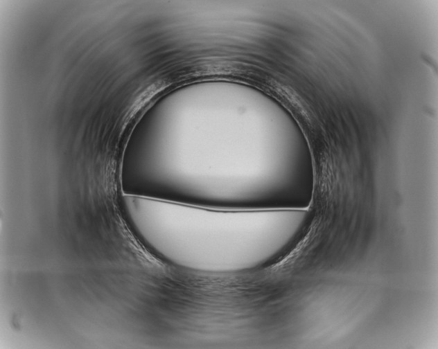 X0000098040786200803281431