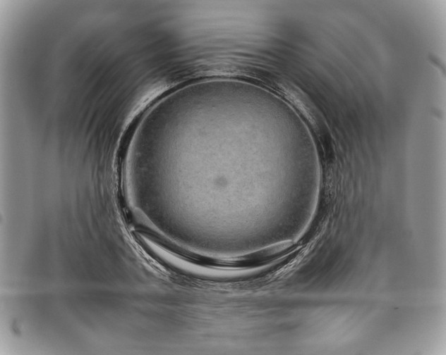X0000098040787200803281431