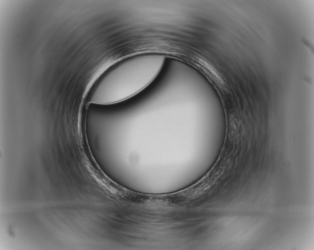 X0000098040788200803281431