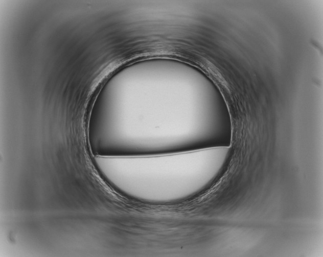 X0000098040789200803281431