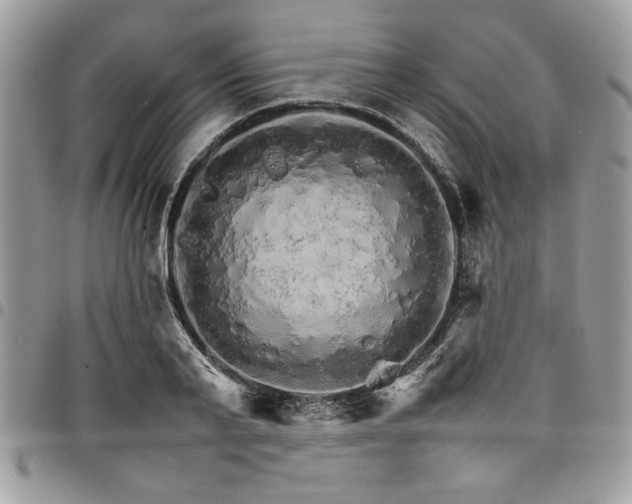 X0000098040791200803281431