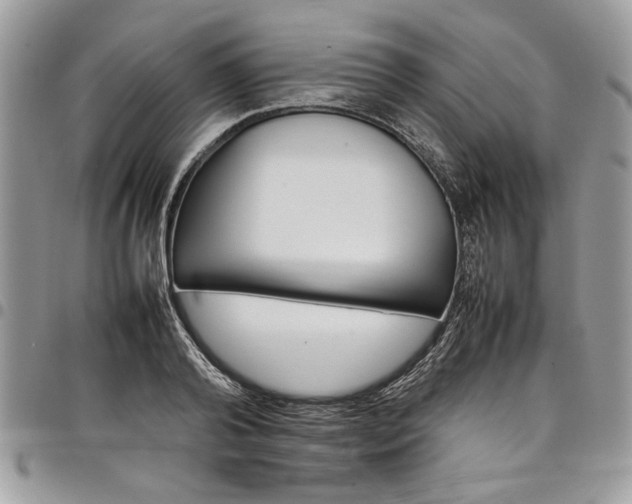 X0000098040792200803281431