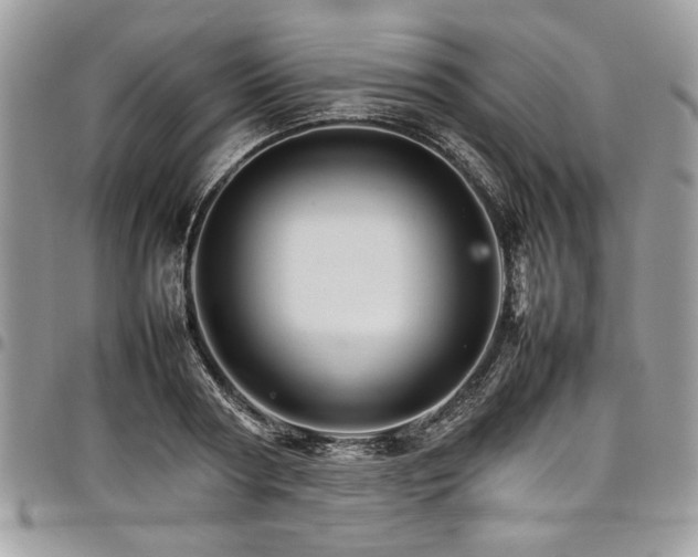 X0000098040794200803281431
