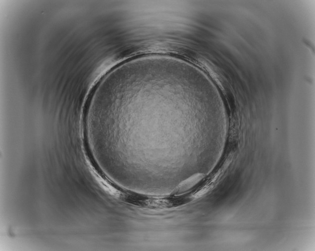 X0000098040795200803281431