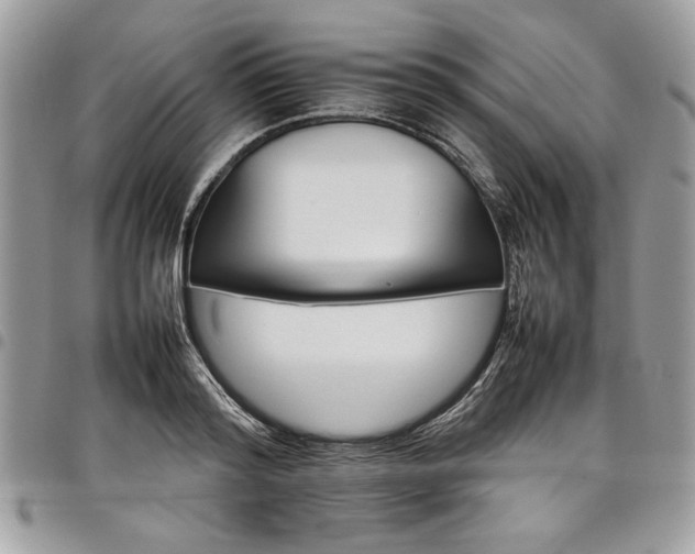 X0000098040796200803281431