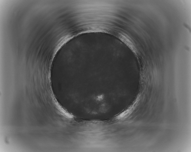 X0000098040797200803281431