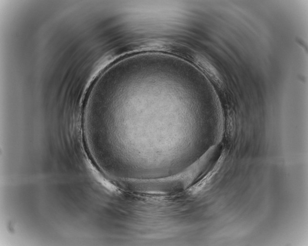 X0000098040800200803281430