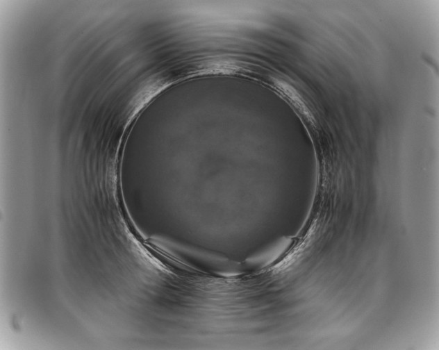 X0000098040802200803281430