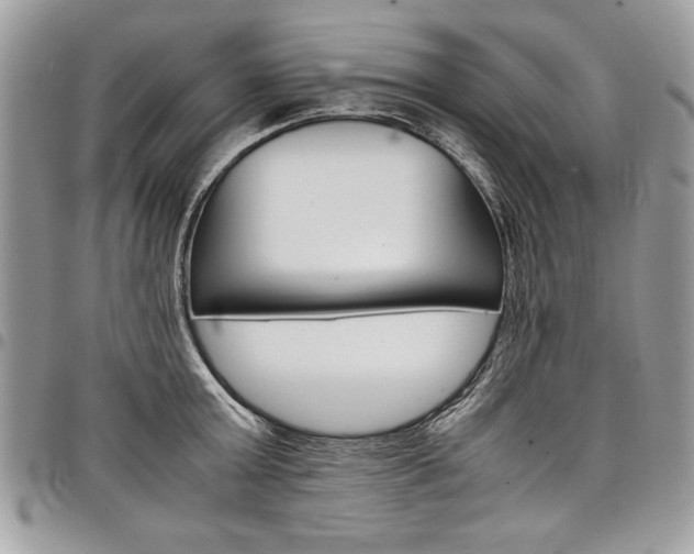 X0000098040803200803281430