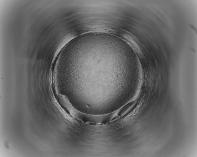 X0000098040804200803281430