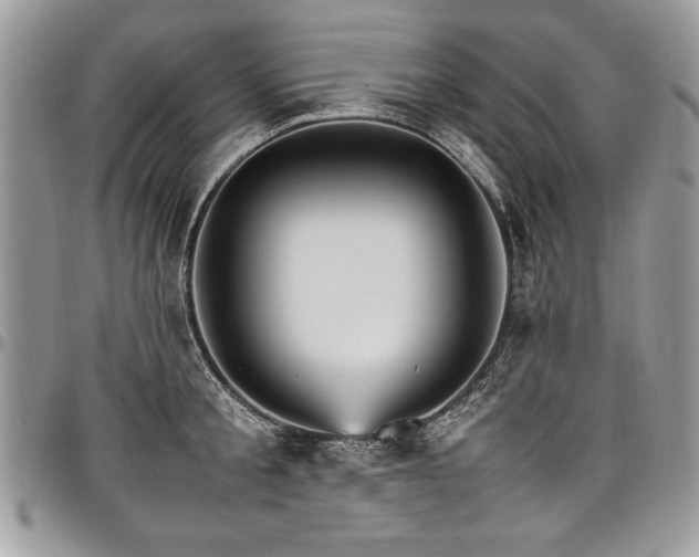 X0000098040805200803281430