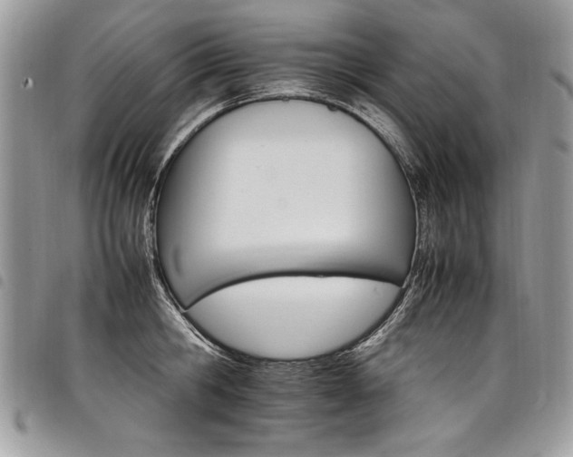X0000098040806200803281430