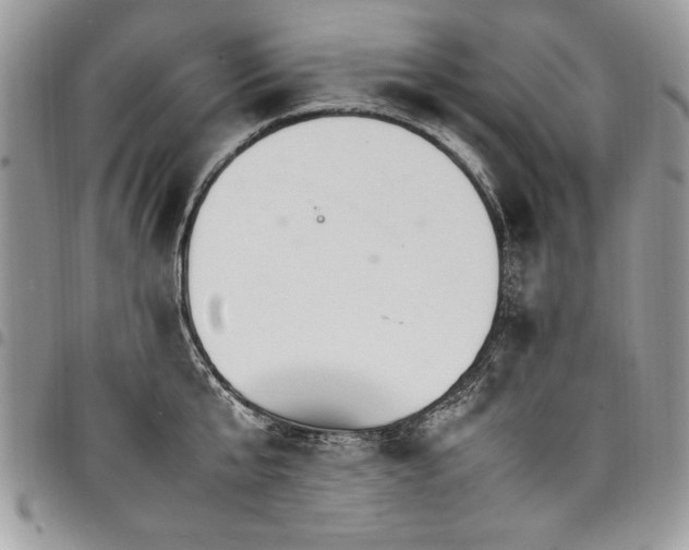 X0000098040807200803281430