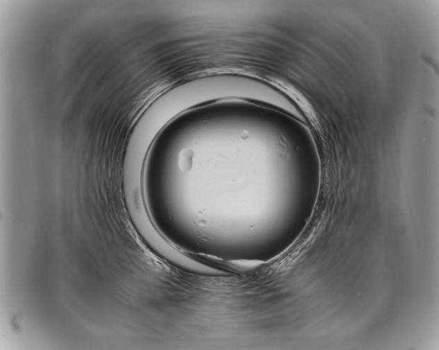 X0000098040809200803281430