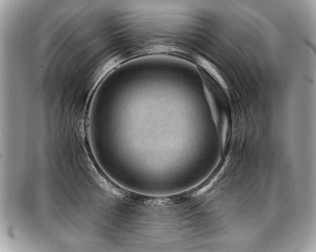 X0000098040810200803281430