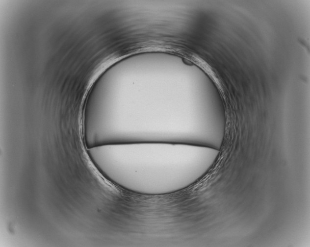 X0000098040811200803281430