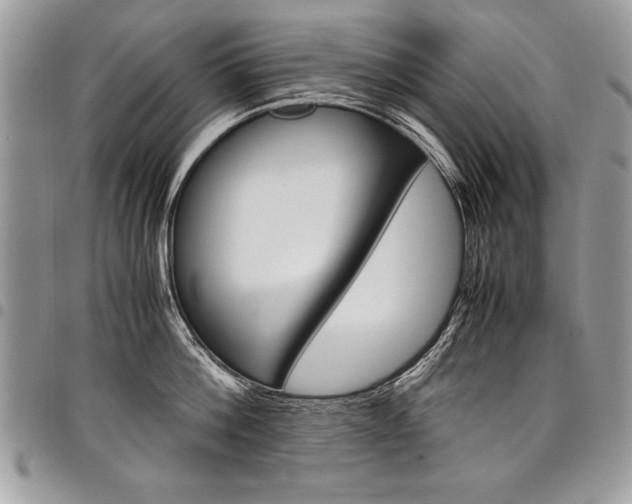 X0000098040812200803281430