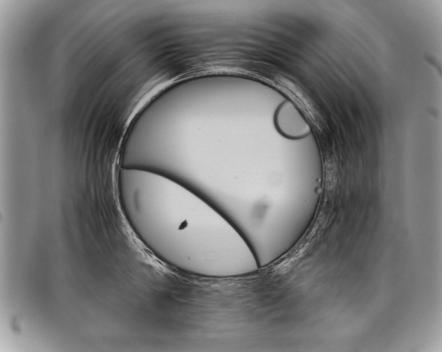 X0000098040814200803281430
