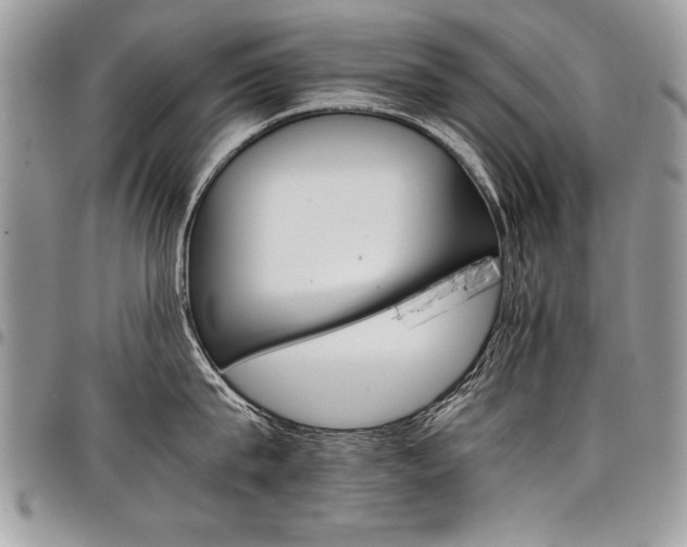 X0000098040815200803281430