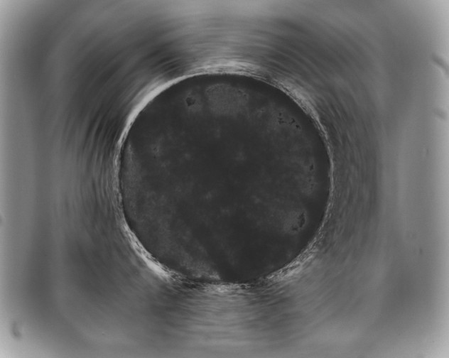 X0000098040816200803281430