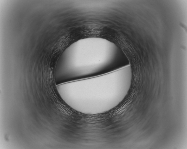 X0000098040818200803281430
