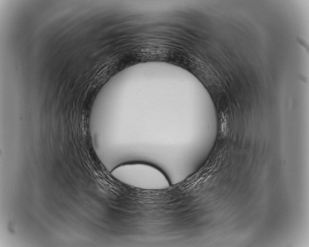 X0000098040819200803281430