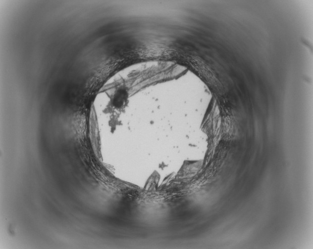 X0000098040820200803281430